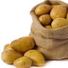 The best Chinese fresh potatoes export vegetable wholesale